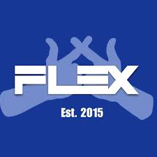 FLEX logo